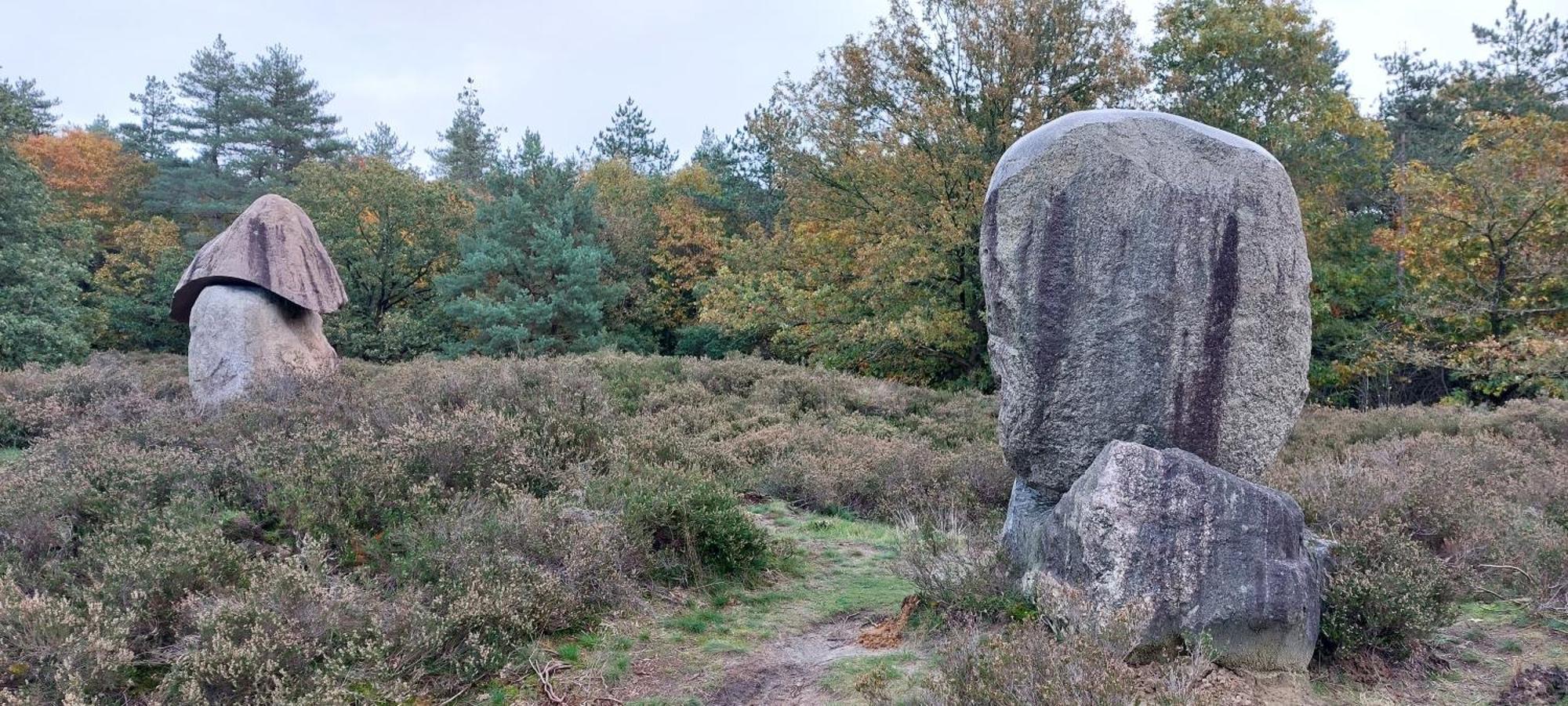 Mooi Drenthe Villa Wezuperbrug Eksteriør bilde