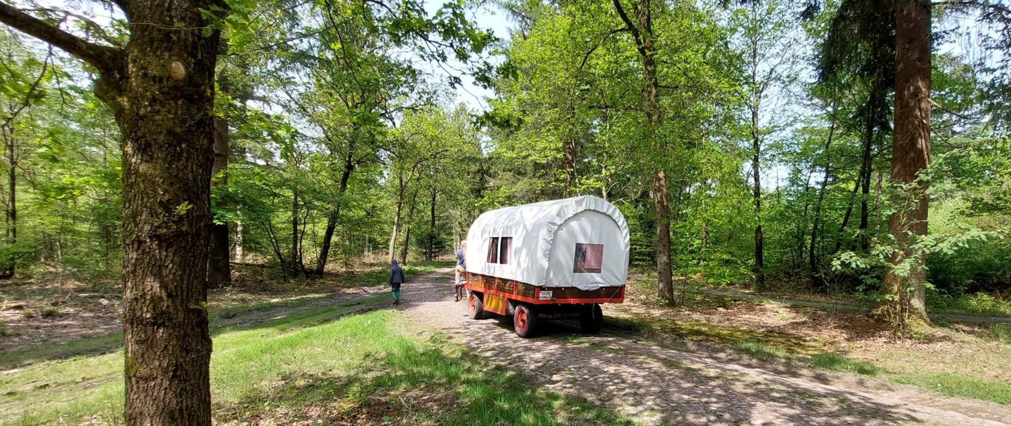 Mooi Drenthe Villa Wezuperbrug Eksteriør bilde